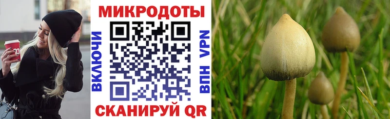 Галлюциногенные грибы Psilocybine cubensis  MEGA онион  Мамадыш 